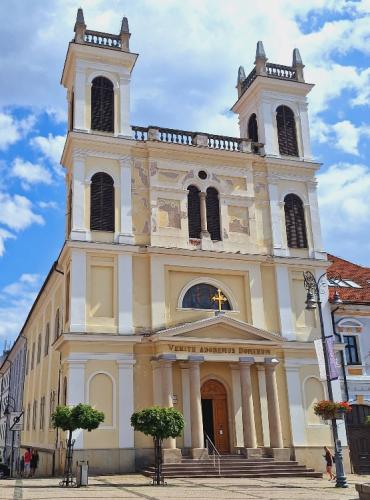 Náhľad pre Katedrála sv. Františka Xaverského - Banská Bystrica