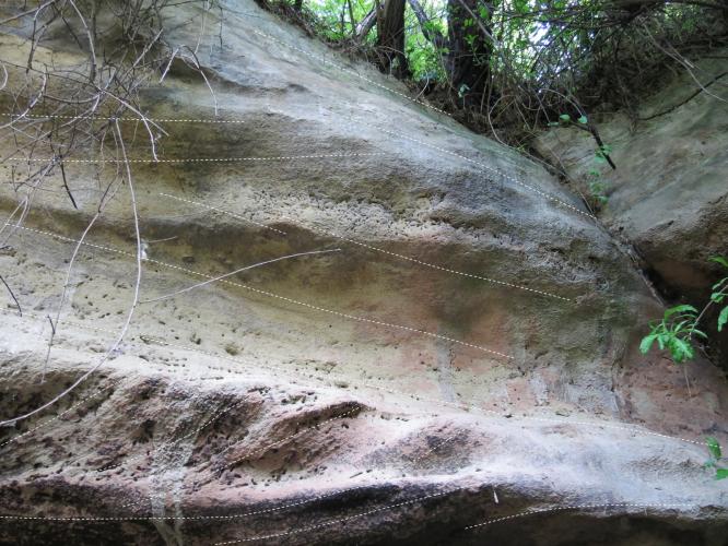 Náhľad pre Bernolákovský (čeklísky) pieskovec